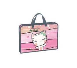 Папки школьные