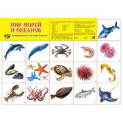 _Плакат(Сфера) Мир морей и океанов (А2)