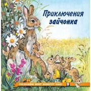 ПознаемМирВокругНас(о) Приключения зайчонка (Гурина И.В.)
