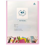 Папка-портфолио 40 карманов БЮРО 0.7мм Gems розовый аметист