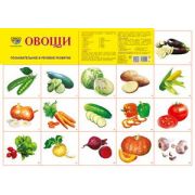 _Плакат(Сфера) Овощи (А2)