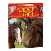ДетскаяЭнц(Росмэн) Лошади и пони