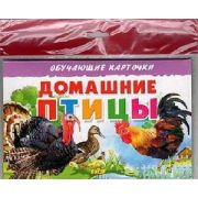 _ОбучКарточки(Литур)(европодв.) Домашние птицы (худ.Глушкова Н.)