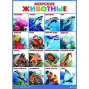 _Плакат(Литур) Морские животные (560*780)
