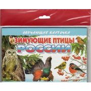 _ОбучКарточки(Литур)(европодв.) Зимующие птицы России (худ.Глушкова Н.)