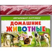 _ОбучКарточки(Литур)(европодв.) Домашние животные (худ.Глушкова Н.)
