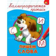 КаллиграфическаяПропись А4 Пишем слова