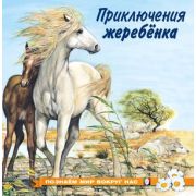 ПознаемМирВокругНас(о) Приключения жеребенка (Гурина И.В.)