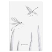 Тетрадь 40л. (клетка) BV «Dragonfly» 7-40-001/04