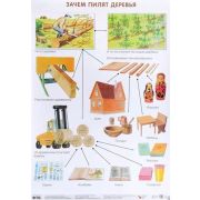 _Плакат(МозаикаС) Зачем пилят деревья (Николаева С.Н.) ФГОС