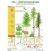 _Плакат(МозаикаС) Лес-многоэтажный дом (Николаева С.Н.) ФГОС