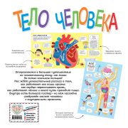 Атласы и энциклопедии Тело человека. Моя первая энциклопедия