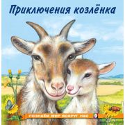 ПознаемМирВокругНас(о) Приключения козленка (Гурина И.В.)