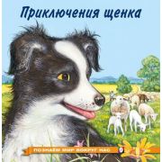 ПознаемМирВокругНас(о) Приключения щенка (Гурина И.В.)