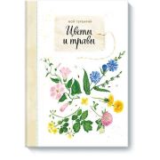 Мой гербарий Цветы и травы (Васильева А.)