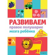 Развитие правого и левого полушария мозга ребенка за 12 недель Развиваем правое полушарие мозга ребе