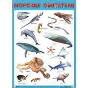 _ПлакатРазвив(МозаикаС) Морские обитатели
