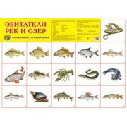 _Плакат(Сфера)_А2 Обитатели рек и озер