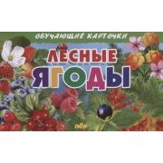 _ОбучКарточки(Литур)(карт.уп.) Лесные ягоды