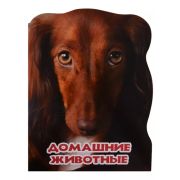 Кн.карт(ПрофПр)(с выруб.)_А4 МирЖивотных Домашние животные (Ушкина Н.)