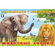 ЗнакомимсяСЖивотными Животные Африки