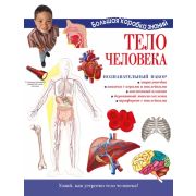 БольшаяКоробкаЗнаний Тело человека Познават.набор [энц.;кн.играми и накл.;сб.дерев.макет скелета;пла