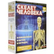 *Исследовательский набор(NDPlay) Скелет человека