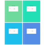 Тетрадь 12л., узкая линия BG «Школьная», ассорти, эконом