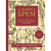 ПодарИздания Жизнь животных Большая илл.энц.(Брем А)