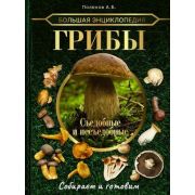 БолКоллекция Грибы Съедобные и несъедобные Собираем и готовим (Поленов А.Б.)