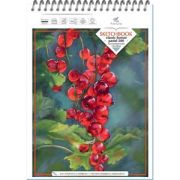 _SketchBook(Полином) Блокнот «Fine Line Classic» Pastel А4, 20л., на гребне (бумага голубая фактурна