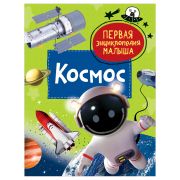 ПерваяЭнцМалыша(Росмэн) Космос (Попова Л.А.)