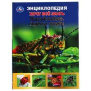 Энц(Умка)(тв) ХочуВсеЗнать Насекомые,жуки и пауки (Алексеев В.Н.)