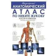 мед Популярный анатомический атлас по Н.Жукову Кости и мышцы Инсайты и интересные факты (Жуков Н.Э.)