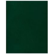 348 Тет48л кле.BG.офс.бумвин.зеленая