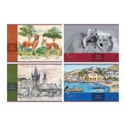 032 Альб.р32л.BG.карт.обл.Пейзажи.ассорти