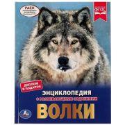 ЭнцСРазвивЗаданиями(Умка)(тв)(б/ф) Волки (Павлинов И.Я.) [диплом в подарок]