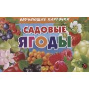 _ОбучКарточки(Литур)(карт.уп.) Садовые ягоды