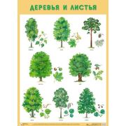 _Плакат(МозаикаС)_А2 Деревья и листья