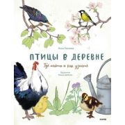 Птицы в деревне Где найти и как узнать (Евсеева А.;худ.Шебеко М.)