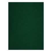 Тетрадь 48л., А4 клетка BG, бумвинил, зеленый