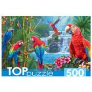 *Puz 500д. Toppuzzle Яркие попугаи (ХТП500-6975)
