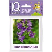 *Игр(Айрис) IQ-Малыш Что растёт на клумбе? Набор карточек для детей. \ Малунова М.В.