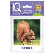 *Игр(Айрис) IQ-Малыш Кто живёт в лесу? Набор карточек для детей. \ Ходюшина Н.П.