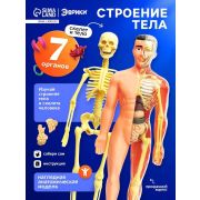 НаборДляОпытов(Сим) «Строение тела», анатомия человека