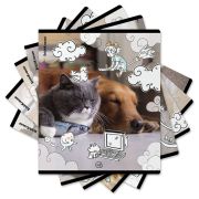 348 Тет48л кле.ErKr.офс.пласт.обл.Dream Cat.асс.