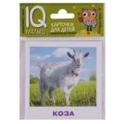 *Игр(Айрис) IQ-Малыш Домашние животные Набор карточек (Ходюшина Н.П.)