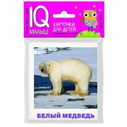 *Игр(Айрис) IQ-Малыш Животные полярных широт Набор карточек (Ходюшина А.П.)