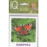 *Игр(Айрис) IQ-Малыш Насекомые Набор карточек (Ходюшина Н.П.)