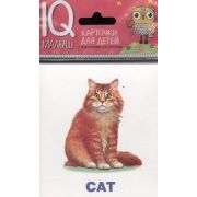 *Игр(Айрис) IQ-Малыш English Домашние питомцы Набор карточек